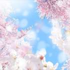 まもなく新学期　４月下旬からは平針中と原中のテスト対策開始！